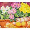 Caroline's Treasures 19 In X 27 In Flower - Primroses Machine Washable Memory Foam Mat -Enchante Home-shop M00638508625519 1836753792