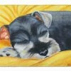Caroline's Treasures 19 In X 27 In Snoozing Schnauzer Machine Washable Memory Foam Mat