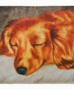 Caroline's Treasures 19 In X 27 In Red Longhaired Dachshund Machine Washable Memory Foam Mat