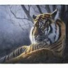 Caroline's Treasures 19 In X 27 In Bengal Tiger By Daphne Baxter Machine Washable Memory Foam Mat