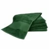 A&R Towels Print-Me Sport Towel (Dark Green) (One Size) -Enchante Home-shop M05057819102048 272896535