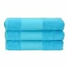 A&R Towels Print-Me Hand Towel (Aqua Blue) (One Size)