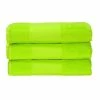 A&R Towels Print-Me Hand Towel (Lime Green) (One Size)